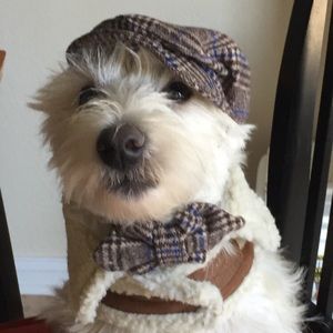 Meet your Posher, Marti